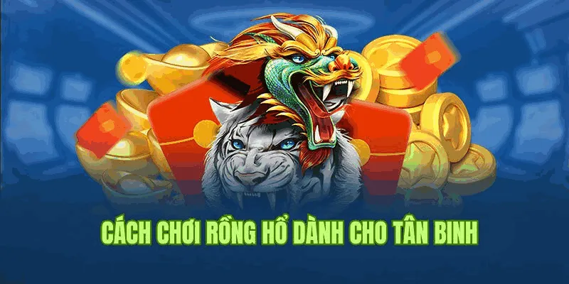 Hướng dẫn tham gia bài rồng hổ 