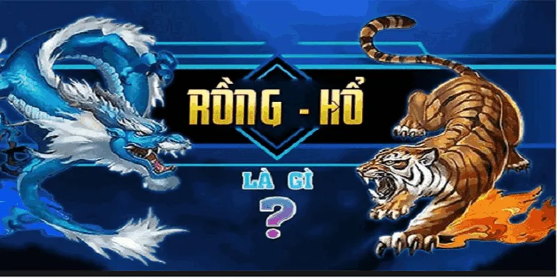 bài rồng hổ